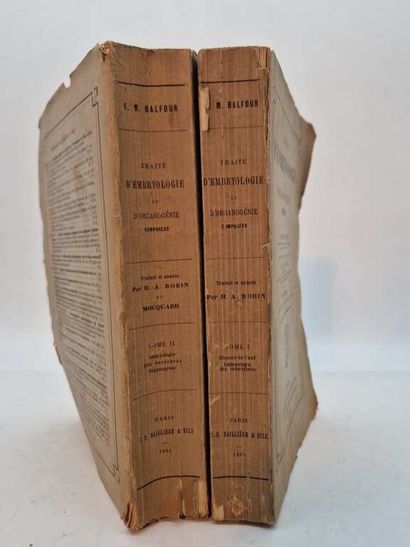 BALFOUR, Francis. Traité d'Embryologie et...