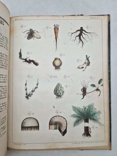 SAUCEROTTE, C. Elémens d'Histoire Naturelle,...
