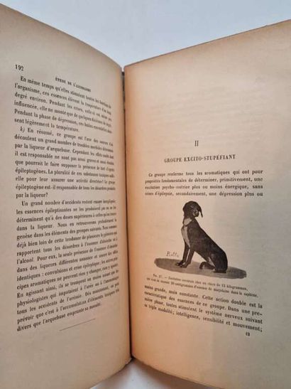 CADEAC, Célestin and MEUNIER, Albin. Recherches...