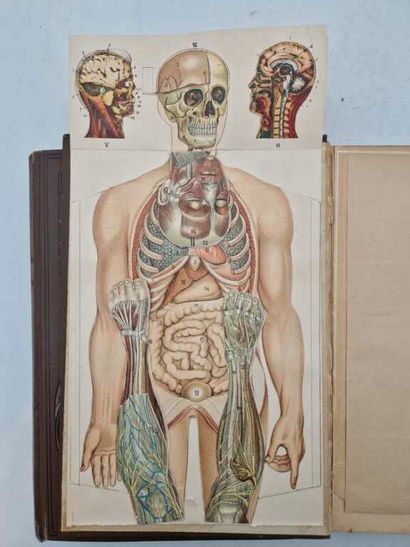 BILZ, Friedrich Eduard. La Nouvelle Médication...