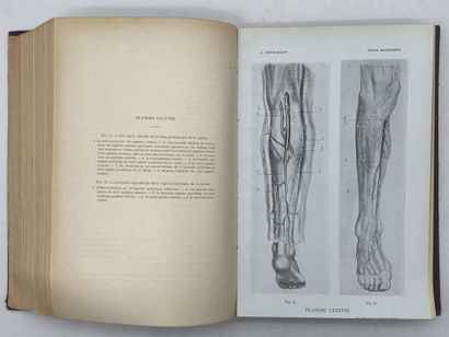 HOVELACQUE, André. Anatomie des nerfs crâniens...