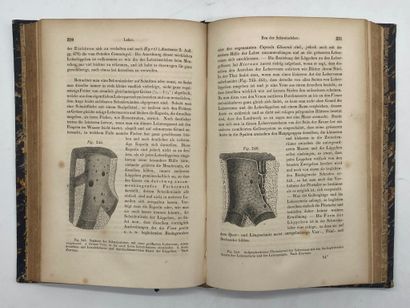 KÖLLIKER, Albert von. Mikroskopische anatomie...