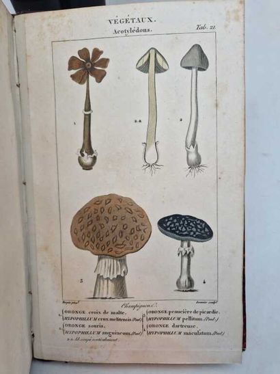 ORFILA and LESUEUR, Messieurs. Traité de...
