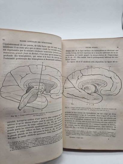 HUGUENIN, Gustav. Anatomie des Centres Nerveux....