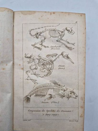 CUVIER, Georges. Tableau Elémentaire de l'Histoire...