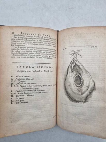 DE GRAAF, Regneri. Regneri de Graaf Opera...
