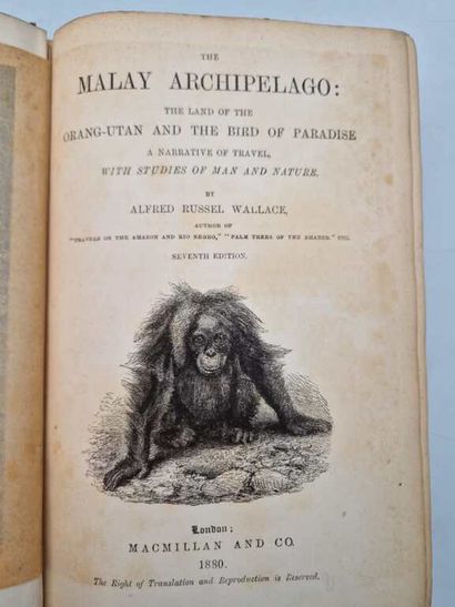 WALLACE, Alfred Russel. The Malay Archipelago:...