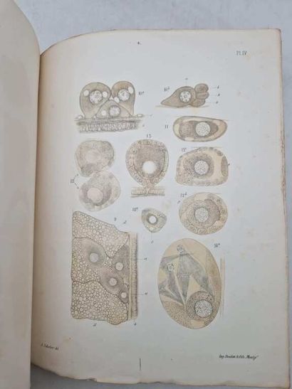 SABATIER, Armand, doctor. Recueil des Mémoires...