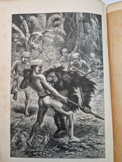 WALLACE, Alfred Russel. The Malay Archipelago:...