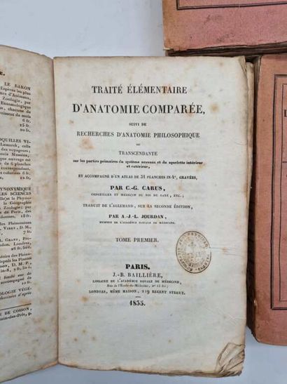 GUSTAV, Carl Gustave. Traité Elémentaire...