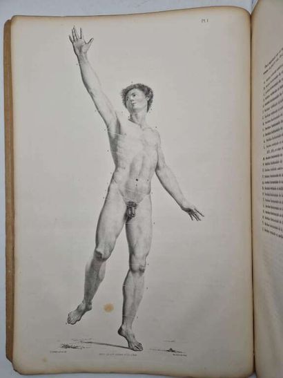 LE GENDRE, Eugène Quintien. Anatomie Chirurgicale...