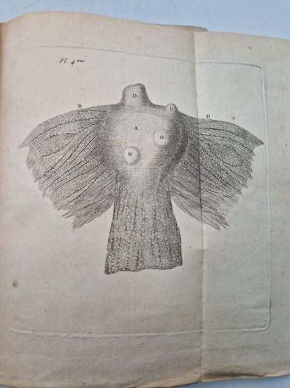 DESAULT, Pierre Joseph. Traité des Maladies...