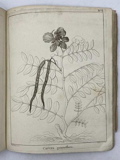 COLLADON, Louis Théodore Frédéric. Histoire...