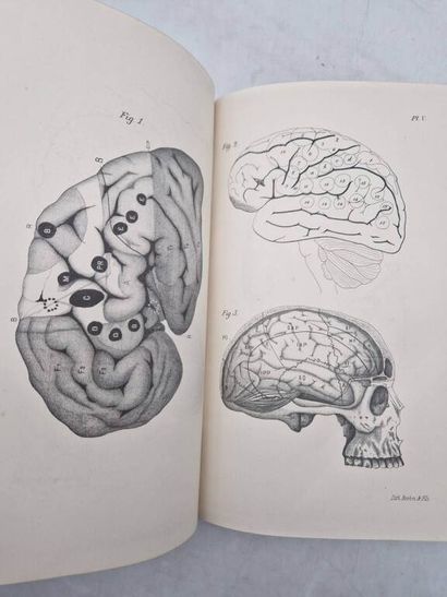 GRASSET, Joseph. Traité Pratique des Maladies...