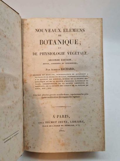 RICHARD, Achille. Nouveaux Elémens de Botanique...