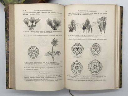 BAILLON, Henri. Traité de Botanique médicale...
