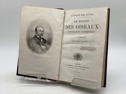 TOUSSENEL, Alphonse. Le Monde des Oiseaux,...