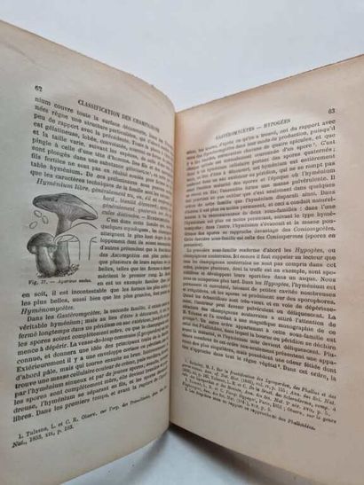 COOKE, Mordecai Cubitt. Les Champignons....