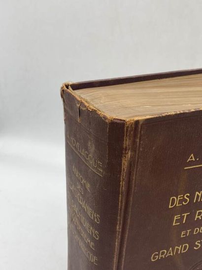 HOVELACQUE, André. Anatomie des nerfs crâniens...