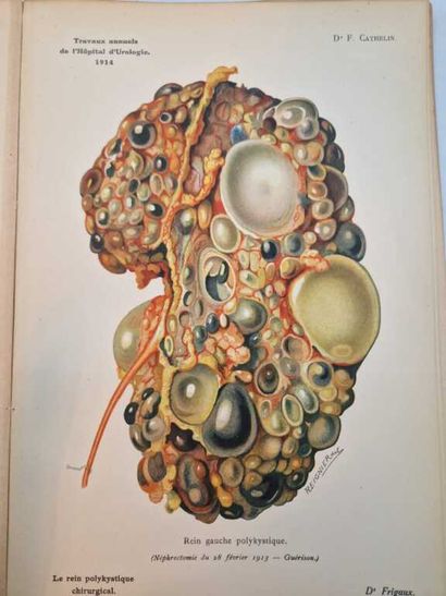 CATHELIN, François. Atlas de Cinquante Aquarelles...