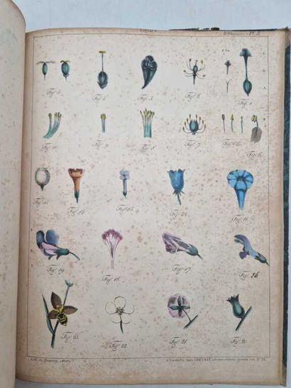SAUCEROTTE, C. Elémens d'Histoire Naturelle,...