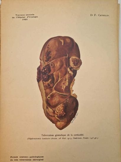 CATHELIN, François. Atlas de Cinquante Aquarelles...