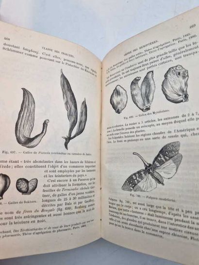 BLANCHARD, Raphaël. Traité de Zoologie Médicale,...