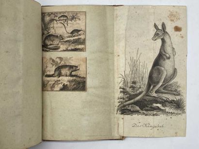 STEIN, Christian Gottfried Daniel. Handbuch...