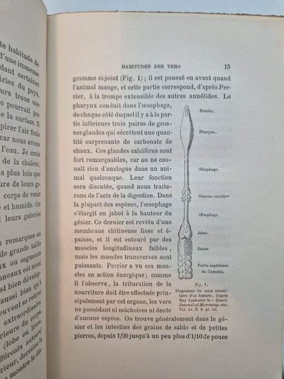 DARWIN, Charles. Rôle des Vers de Terre dans...