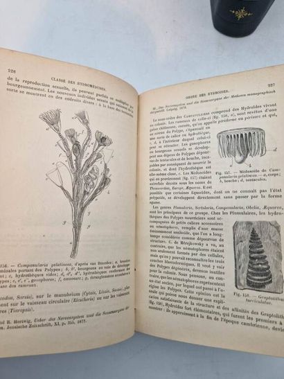 BLANCHARD, Raphaël. Traité de Zoologie Médicale,...