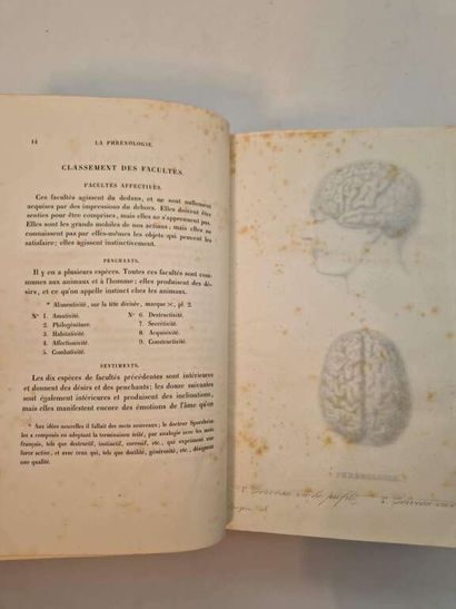 BRUYERES, Hippolyte. La Phrénologie. Le Geste...