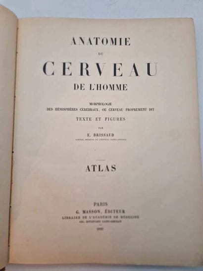 BRISSAUD, Edouard. Anatomie du Cerveau de...