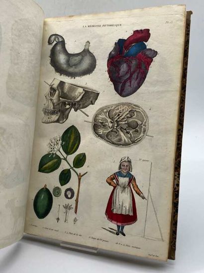 BAYLE, Antoine Laurent. La Médecine Pittoresque,...