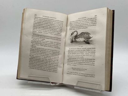 TOUSSENEL, Alphonse. Le Monde des Oiseaux,...