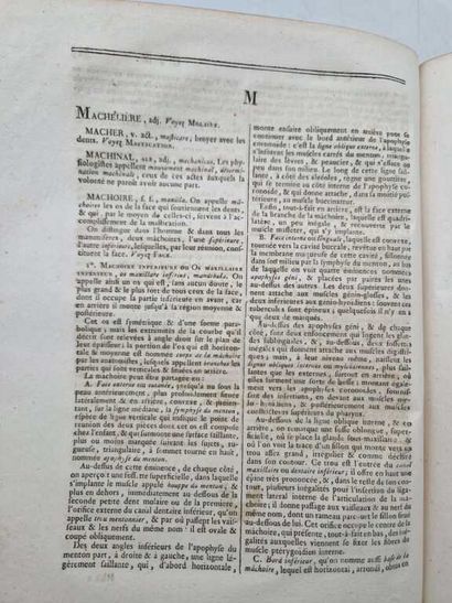 CLOQUET, Hippolyte. Encyclopédie Méthodique....