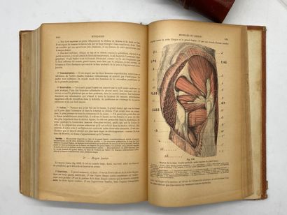 TESTUT, Léo and LATARJET, André. Traité d'anatomie...