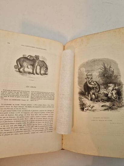 BOITARD, Pierre. Le Jardin des Plantes, description...
