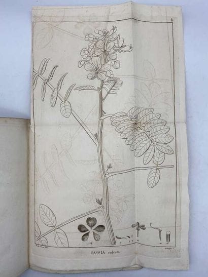 COLLADON, Louis Théodore Frédéric. Histoire...