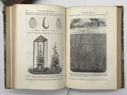BAILLON, Henri. Traité de Botanique médicale...