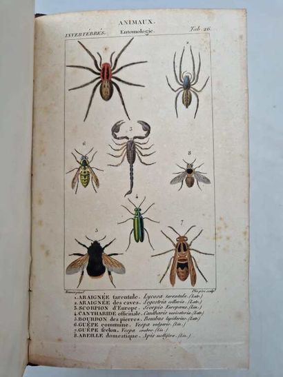 ORFILA and LESUEUR, Messieurs. Traité de...