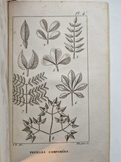 RICHARD, Achille. Nouveaux Elémens de Botanique...