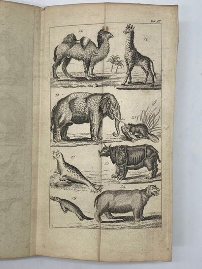 STEIN, Christian Gottfried Daniel. Handbuch...