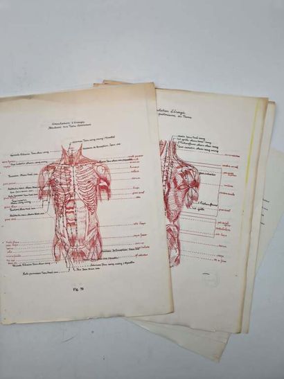MORANT, George Soulié de. Chinese Acupuncture....