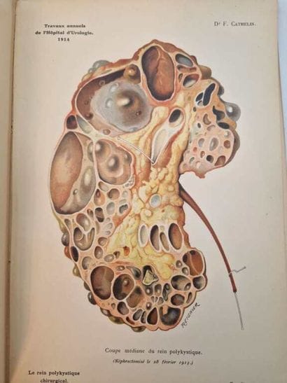 CATHELIN, François. Atlas de Cinquante Aquarelles...