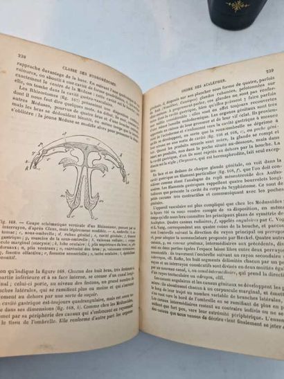 BLANCHARD, Raphaël. Traité de Zoologie Médicale,...