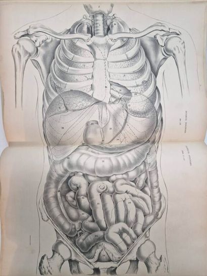 JEANCON, Jean. Pathological Anatomy, Pathology...