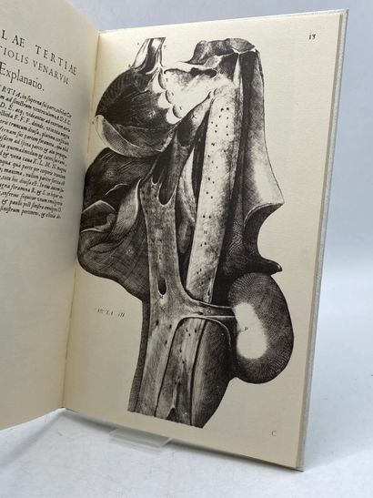 PARIENTE, Liliane. Le Venarum Ostiolis de...