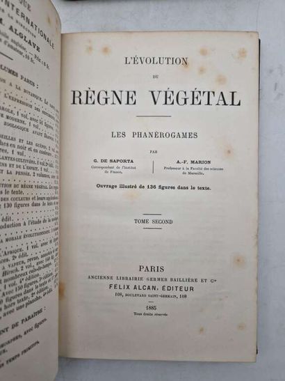 [BIBLIOTHEQUE INTERNATIONALE]. Ensemble de...