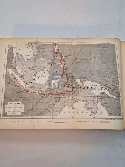 WALLACE, Alfred Russel. The Malay Archipelago:...