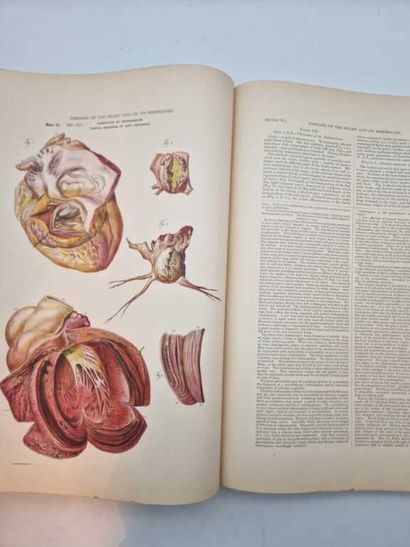 JEANCON, Jean. Pathological Anatomy, Pathology...